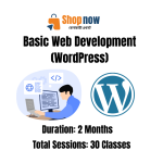 Basic Web Development (WordPress)
