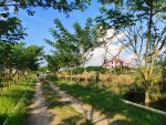 Al-Hamra River Park Model Town - Premium Zone Plots & Apartments - Image 6